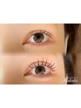 特別な日に合う華やかな目元にしたい