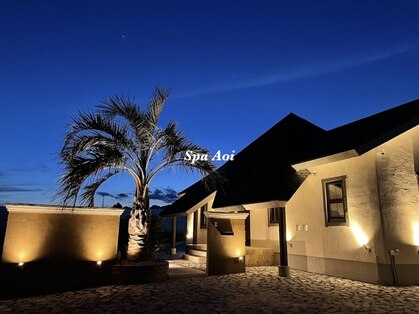 アオイ(AOI)の写真