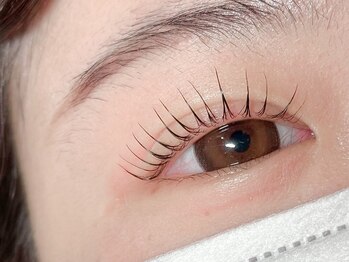 Makea福岡天神店【上下まつげパーマ/LEDマツエク/眉毛サロン】【2/28NEW OPEN(予定)】/束感まつげパーマ【福岡天神】