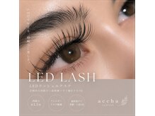 ヘアーアンドメイクアップスタジオ アチャ(Hair Make Up Studio Accha)の雰囲気（湿気に強いLEDラッシュが人気）