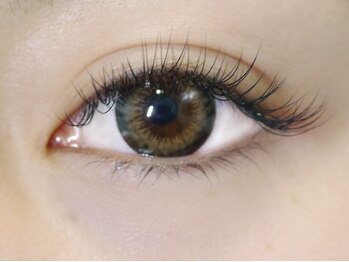 アンクネイル/まつ毛エクステ