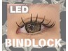 《濃さ&持続◎まつげエクステ》LEDバインドロック100束¥9500