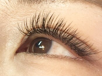 アルシア(ALsia)/ALsia eyelash 八千代緑が丘.8