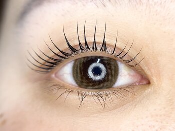 ロタコーラル 大野田店(rota coral)/トリートメントまつ毛パーマ