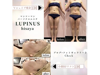 ルピナス ヒサヤ(LUPINUS hisaya)の写真