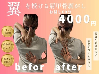 ガーデン(Garden)の写真