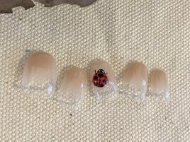 グラデーション×てんとう虫