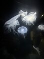 アネラネイル(anela nail) クラゲ好きなのでくらげの綺麗な水族館教えて下さい♪