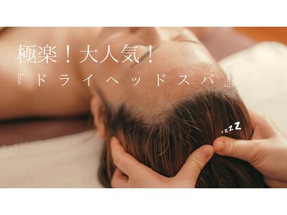 ラクーン(LACUN)の写真