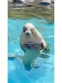ロザンナ 武蔵浦和店(ROSANNA) 水族館巡り