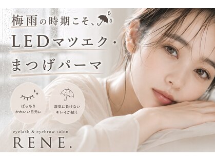 レネ(RENE.)の写真