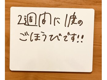 ファンディーナ(fan dii na)/