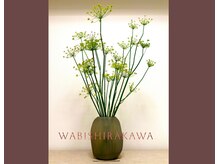 ワビシラカワ(WABISHIRAKAWA)