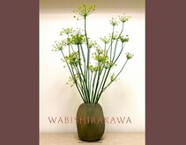 ワビシラカワ(WABISHIRAKAWA)