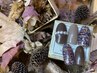 ご新規様☆【HAND】オフ無料☆DXデザインコース￥8,800～¥9,900