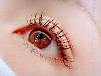 リーフ(Leaf)/フラットラッシュ140本Cカール