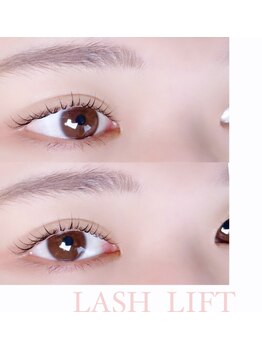 ルピナス(salon de Lupinus)/