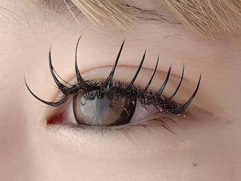 アイラッシュサロン ミューズ(Eyelash Salon Muse)
