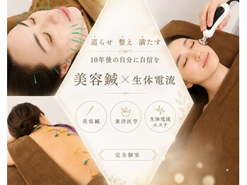 ル シェルシェ 銀座の写真/東洋医学で健やかに美しく！鍼灸と最新機器を組み合わせたオーダーメイドでオンリーワンの施術です。