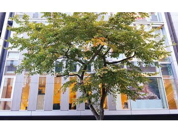 アユアランリンク 札幌店/サロンが入るビルの外観です！