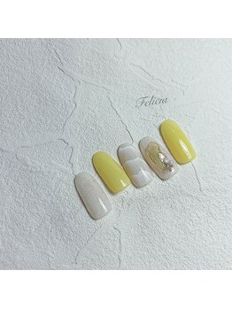 フェリシア Felicia/8月NEWデザイン