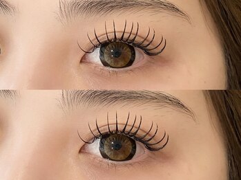 エルドット 八尾店(L.)/フラットラッシュ150本