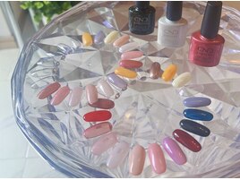 シェラック　お得なサブスク有