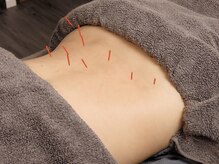 シンリュウ(SHIN-RYU)/【徹底腰痛対策】