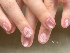 【定額】ミドルコース