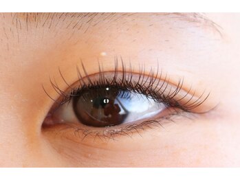 ジョリレーヌ(Jolie Reine)/フラットラッシュカラー100本