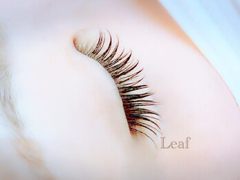 リーフ(Leaf)/フラットマットラッシュ付け放題