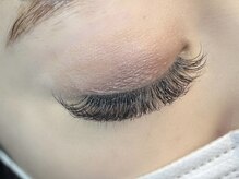 《No.6》ボリュームラッシュorバインドロック100束　¥7,500