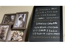 猫の手サロン(猫の手salon)の雰囲気（痩身メニューや、お得な回数券などもございます♪）