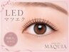 〔LEDマツエク〕フラットラッシュ180本・持続UPアイシャンプー¥10,000