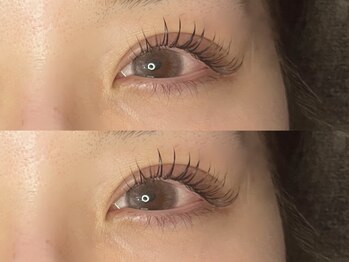 イイテ(iite)/パリジェンヌ×下マツエク30本