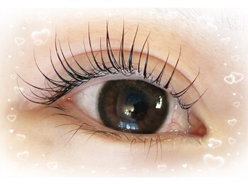 ロール(Roll)/まつ毛パーマ