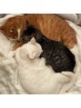 ドレス 薬院(DRESS.)&nbsp;猫好きで実家で3匹飼ってます！めちゃ可愛いです！
