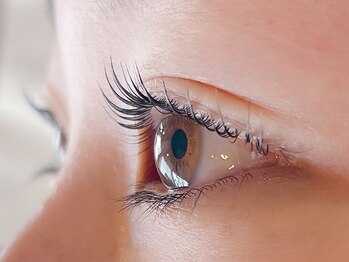 バタフライ 茅ヶ崎店(Butterfly)/パリジェンヌラッシュリフト