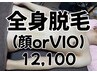 岡山最安値【メンズ脱毛】全身脱毛(顔 or VIO)　12100