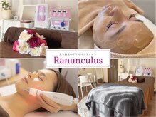 ラナンキュラス(Ranunculus)