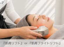 アンドアンド(&and)/エレクトロポレーション導入