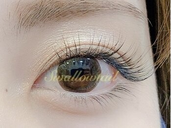 スワロウテイル(Swallowtail)/Ｃカール（0.1ｍｍ）付け放題