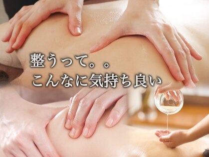 イルカの羽の写真