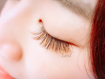 リーフ(Leaf)/カラーまつエク ボリューム