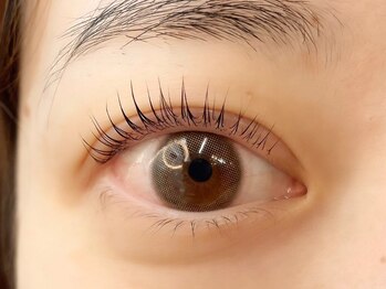 ラヴィシル 恵比寿(Ravicils)/まつげパーマ/ラッシュリフト