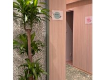 リノ(Lino)の雰囲気（【福岡駅！徒歩5分】3/20に移転しました♪）