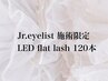 【LEDフラットラッシュJrアイリスト限定】120本 ¥4990 新規オフ無料