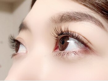ハーゼ(Hase)/Flat Lash【Black  Brown】160本