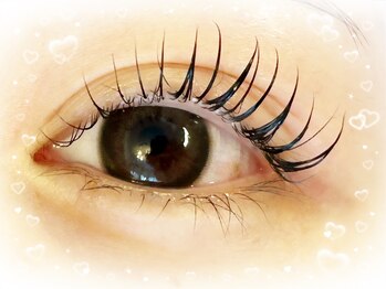 ロール(Roll)/まつ毛パーマ