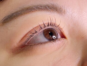 ツミキプラス(tsumiki+)の写真/【時津】ぱっちり上がった大きな瞳に見せる上向きまつげ♪ナチュラルでも印象的な目元に!